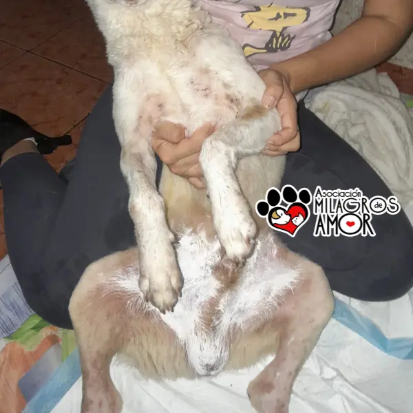 Foto de Iván rescatado 2